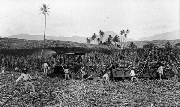 Sugar Mill History.jpg