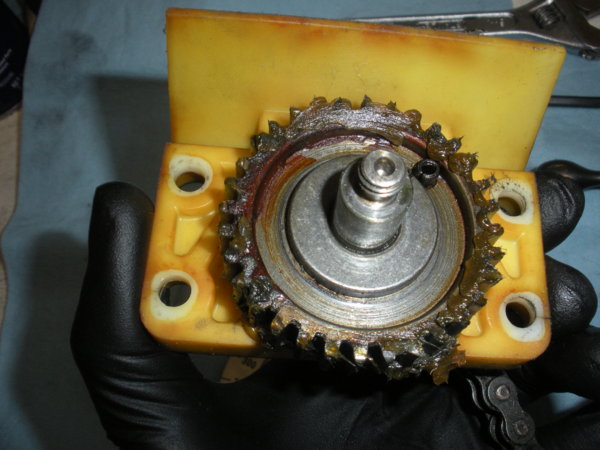 Speed change assembly, rear view of bearing block showing the gear.
