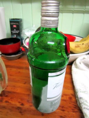 gin-5.jpg