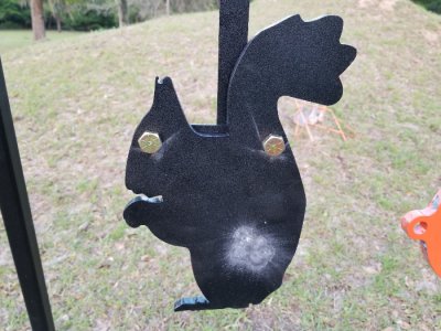 03 27 20 steel gong stand squirrel with rounds in butt small.jpg