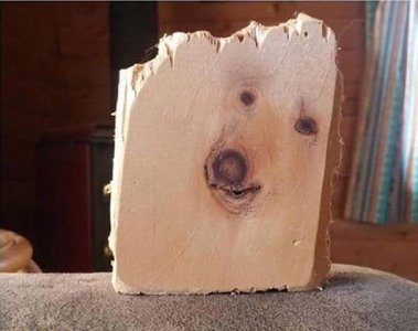 Dog-Wood.jpg