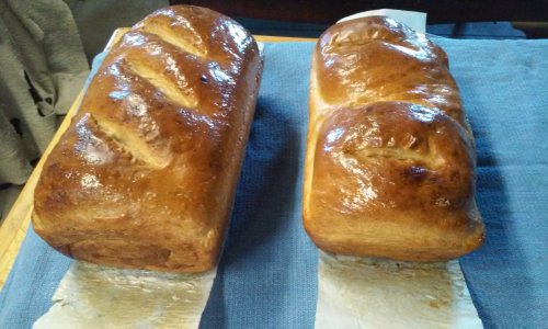 Bapple Bread Fresh Out Of The Oven.jpg