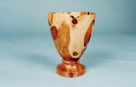 Juniper Vase.JPG