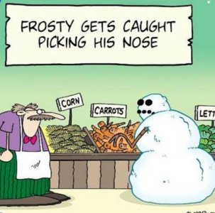 Frosty Nose.jpg