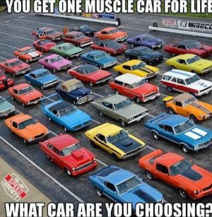 what car would you chose.jpg