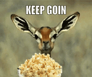 popcorn munchin antelope.gif