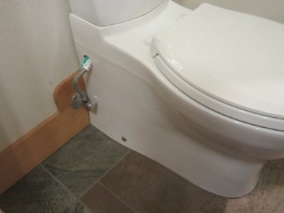 Skirted toilet.JPG