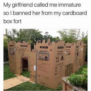fort.png