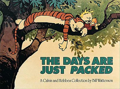 Calvin and Hobbes-The Days Are Just Packed.jpeg