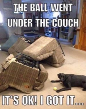 couch2.jpeg