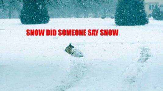snow_did_someone_say_snow.jpg