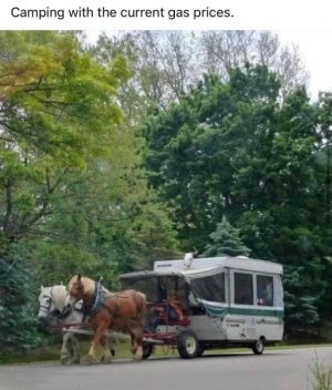 horse camper.jpg
