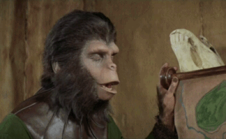 Ape awe.gif