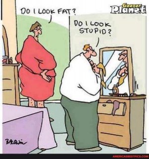 Fat v Stupid.jpg