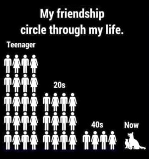 friendship circle.jpg