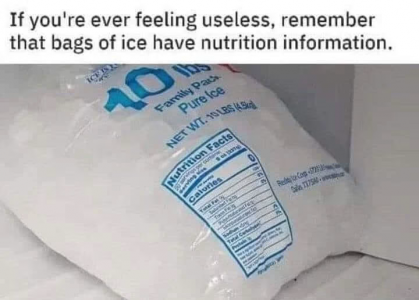 ice bag.png