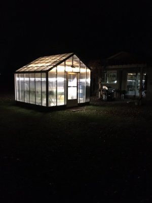 greenhouse at night.jpg
