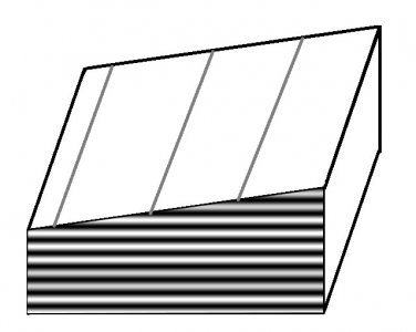 Figure 2D.jpg