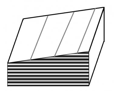 Figure 2C.jpg