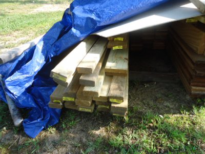 lumber pile (2).JPG