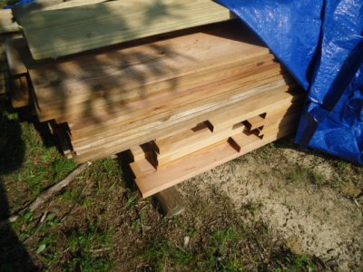 lumber pile (1).JPG