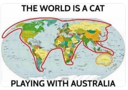 world cat.png