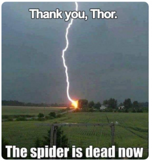 spider thor.png