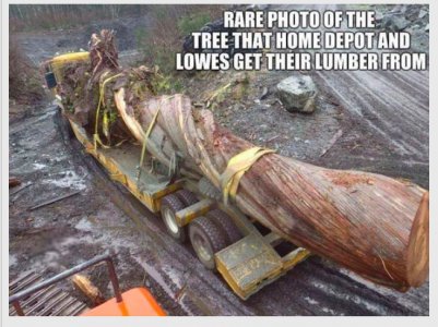 Home Depot lumber source.jpg
