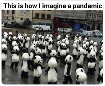 pandemic.png
