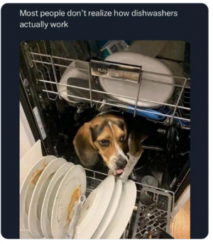 dishwasher.png