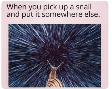 snail speed.png