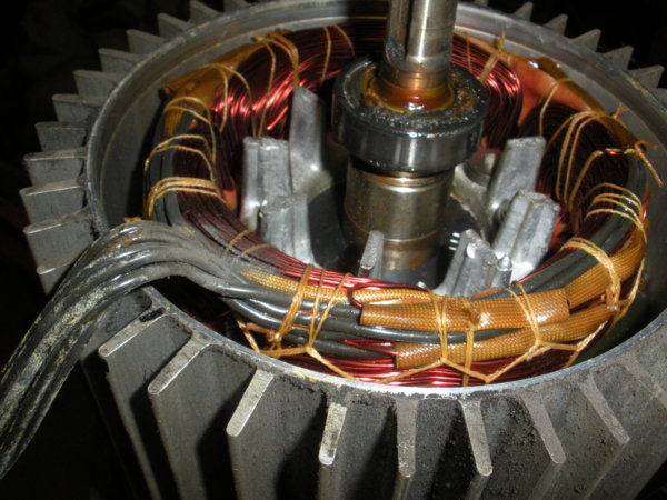 View of motor after the end cover has been removed.